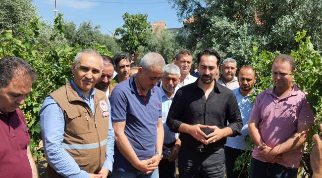 Dolu Zararından Etkilenen Tarım Arazilerinde Hasar Tespit Çalışmaları Başladı