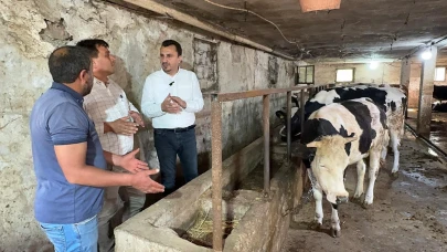 Turgutlu'lu Besici CHP’li Başevirgen'e Dert Yandı: “Bakanın Bakma Gücü Yok, Kurban Kesecek Olanın Kesecek Gücü Yok”