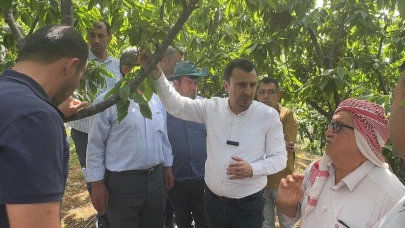 KİRAZ ÜRETİCİSİ CHP’Lİ BAŞEVİRGEN’E DERT YANDI: “BİR AĞAÇTAN 25-30 KİLO ÜRÜN ALINIYORDU. ŞİMDİ BİR KİLO BİLE YOK”