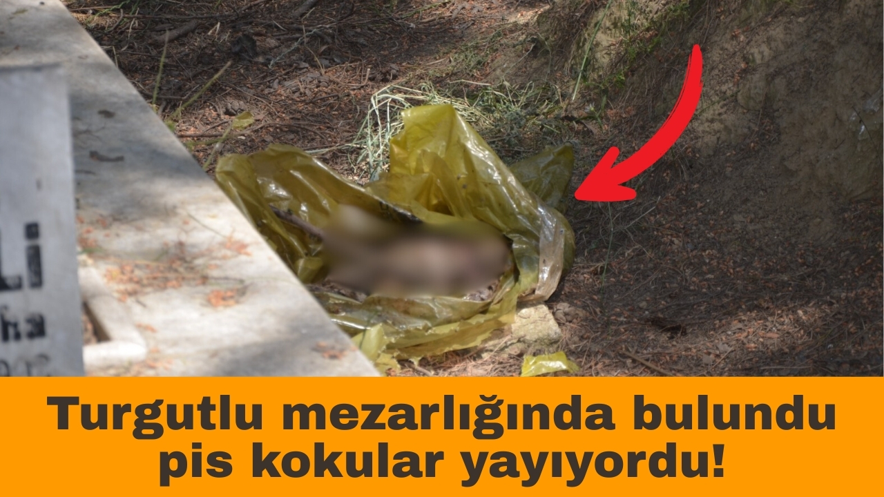 Turgutlu mezarlığında bulundu, pis kokular yayıyordu!