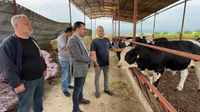 Manisa'lı Besiciden Son Çare: Mazot Karşılığı Kurbanlık!