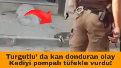Turgutlu’ da kan donduran olay; Kediyi pompalı tüfekle vurdu!
