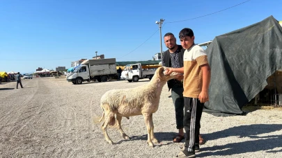 Turgutlu Bayrama Hazırlanıyor: Kurban Bayramı Yoğunluğu Başladı