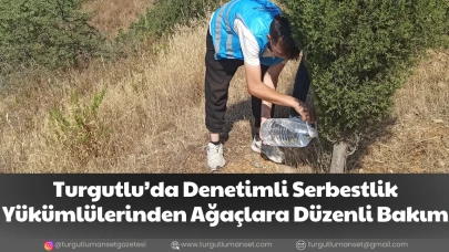 Turgutlu’da Denetimli Serbestlik Yükümlülerinden Ağaçlara Düzenli Bakım