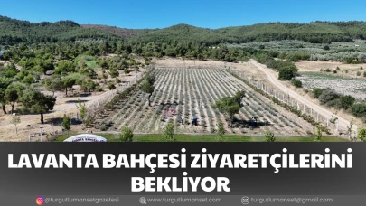 LAVANTA BAHÇESİ ZİYARETÇİLERİNİ BEKLİYOR