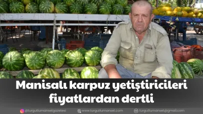 Manisalı karpuz yetiştiricileri fiyatlardan dertli
