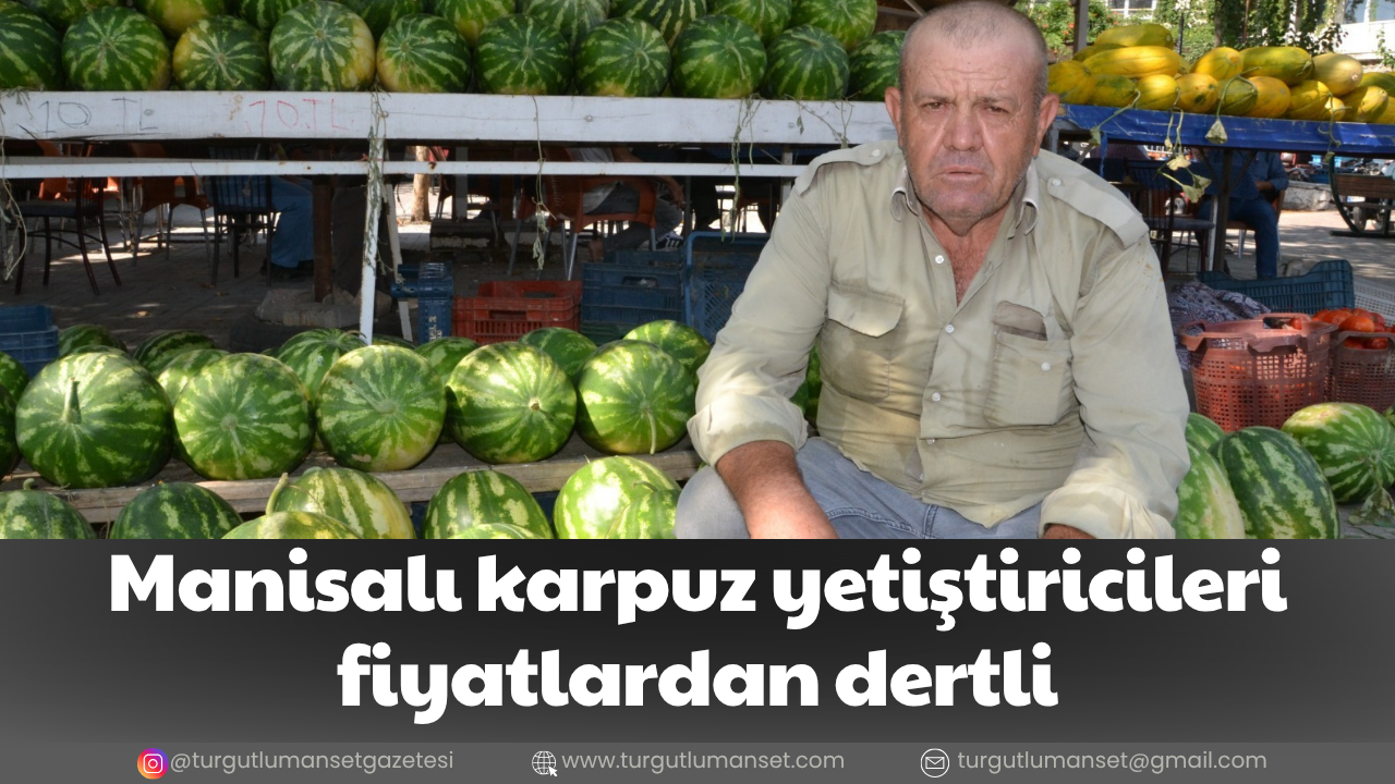 Manisalı karpuz yetiştiricileri fiyatlardan dertli