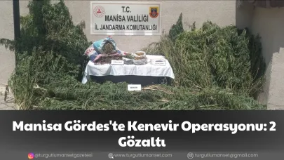 Manisa Gördes'te Kenevir Operasyonu: 2 Gözaltı