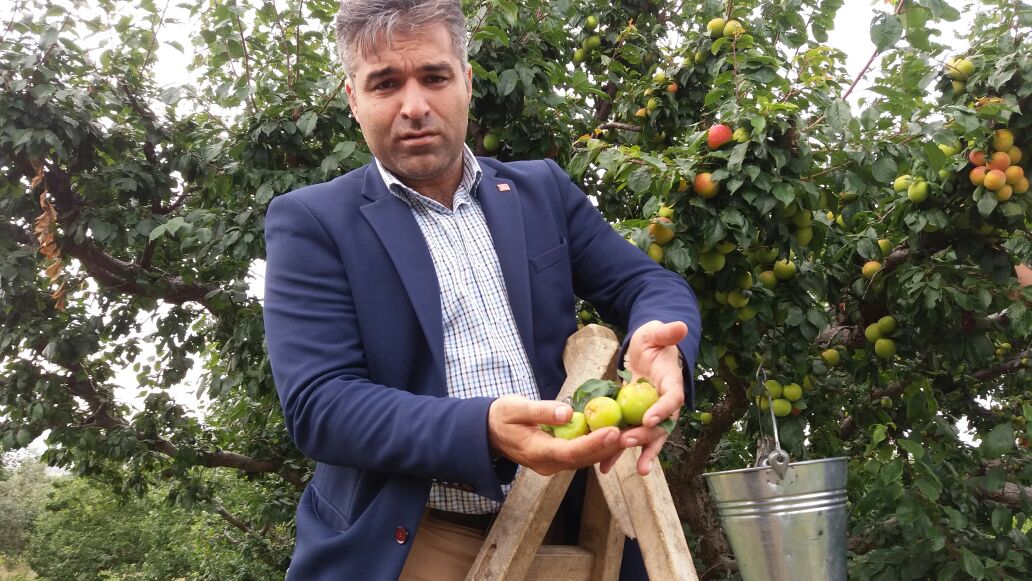 Chp’den Doluzede çiftçilere Geçmiş Olsun Ziyareti