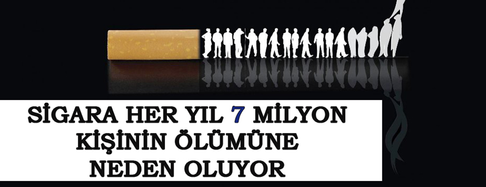 Sigara Her Yıl 7 Milyon Kişinin ölümüne Neden Oluyor