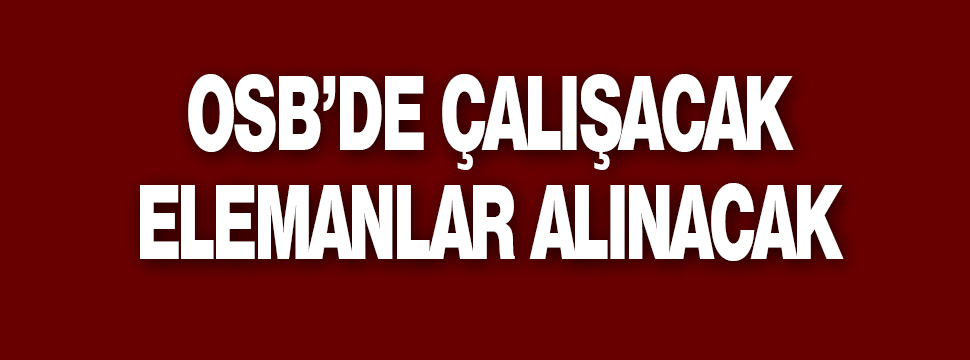 Elemanlar Alınacaktır!