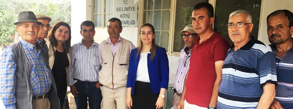 Köylü Kızı çalınmadık Kapı Girilmedik Ev Bırakmıyor