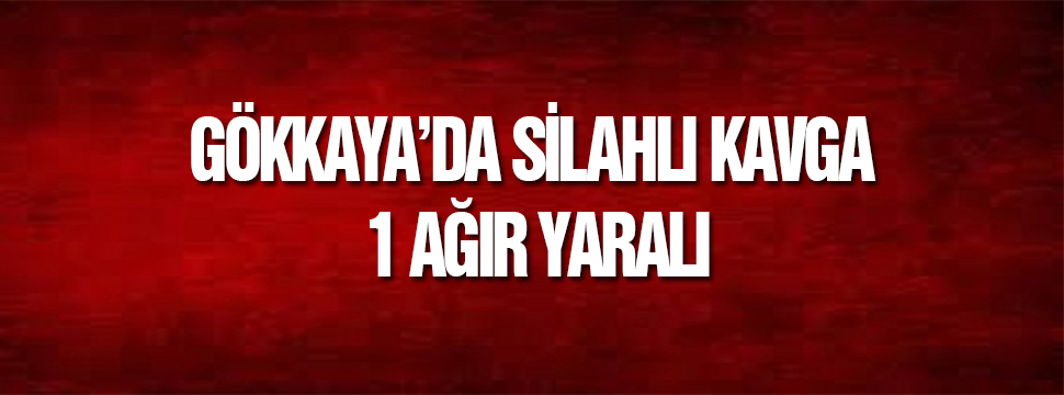 Gökkaya’da Silahlı Kavga 1 Ağır Yaralı