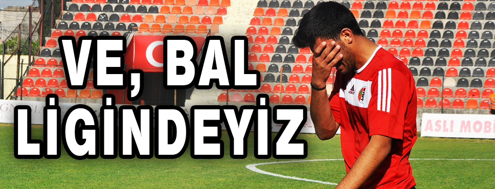 Ve, Bal Ligindeyiz..