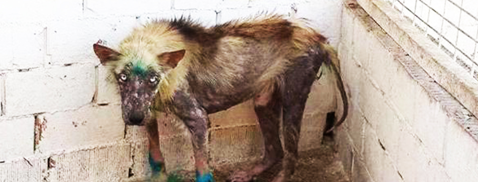 Son Haline İnanamayacaksınız!