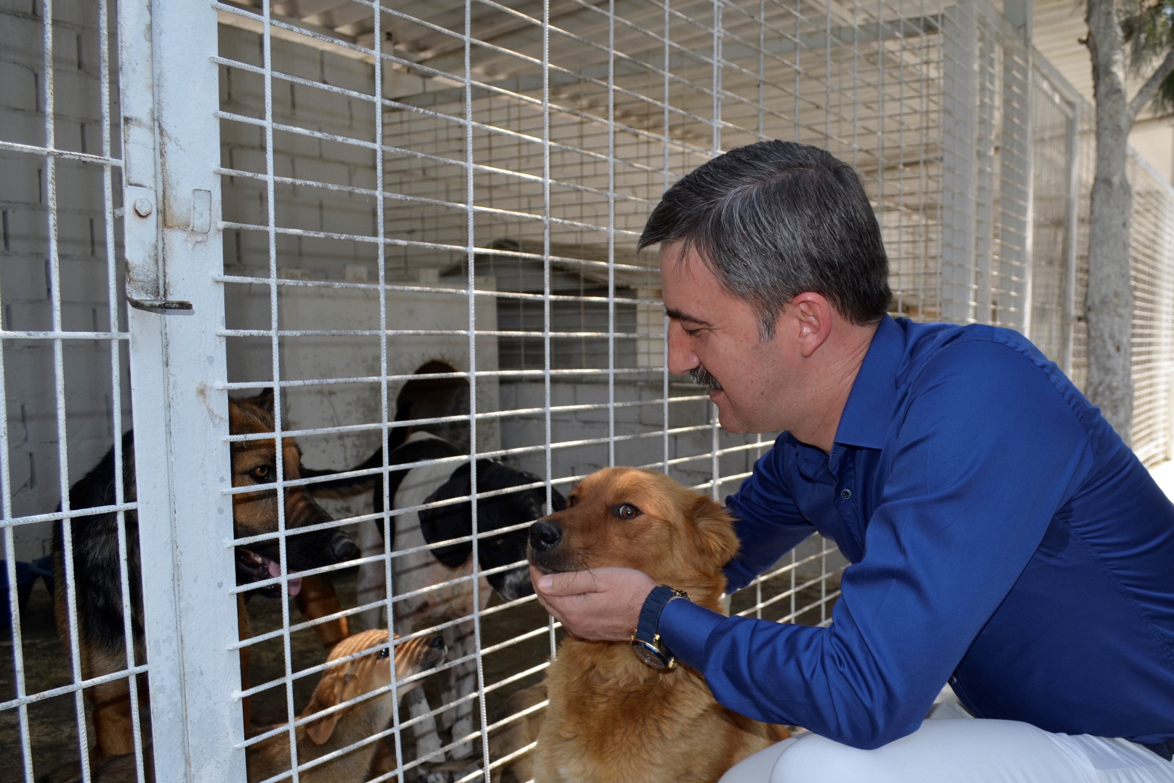 “onların En çok Da Sevgimize İhtiyacı Var”