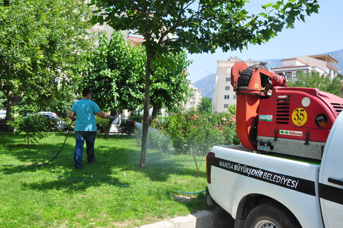Büyükşehir Haşereye Savaş Açtı