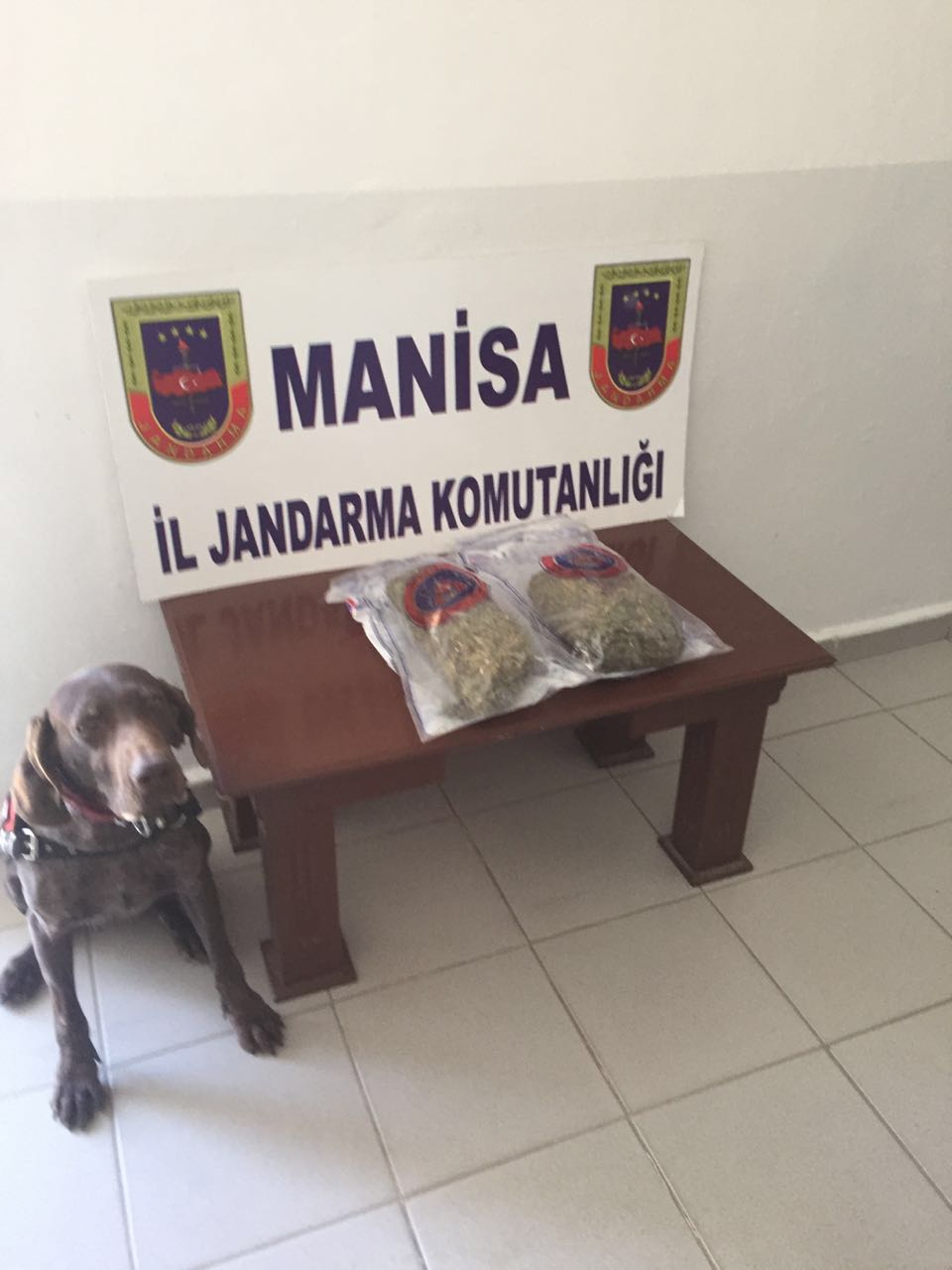 Jandarma Uyuşturuculara Aman Vermiyor
