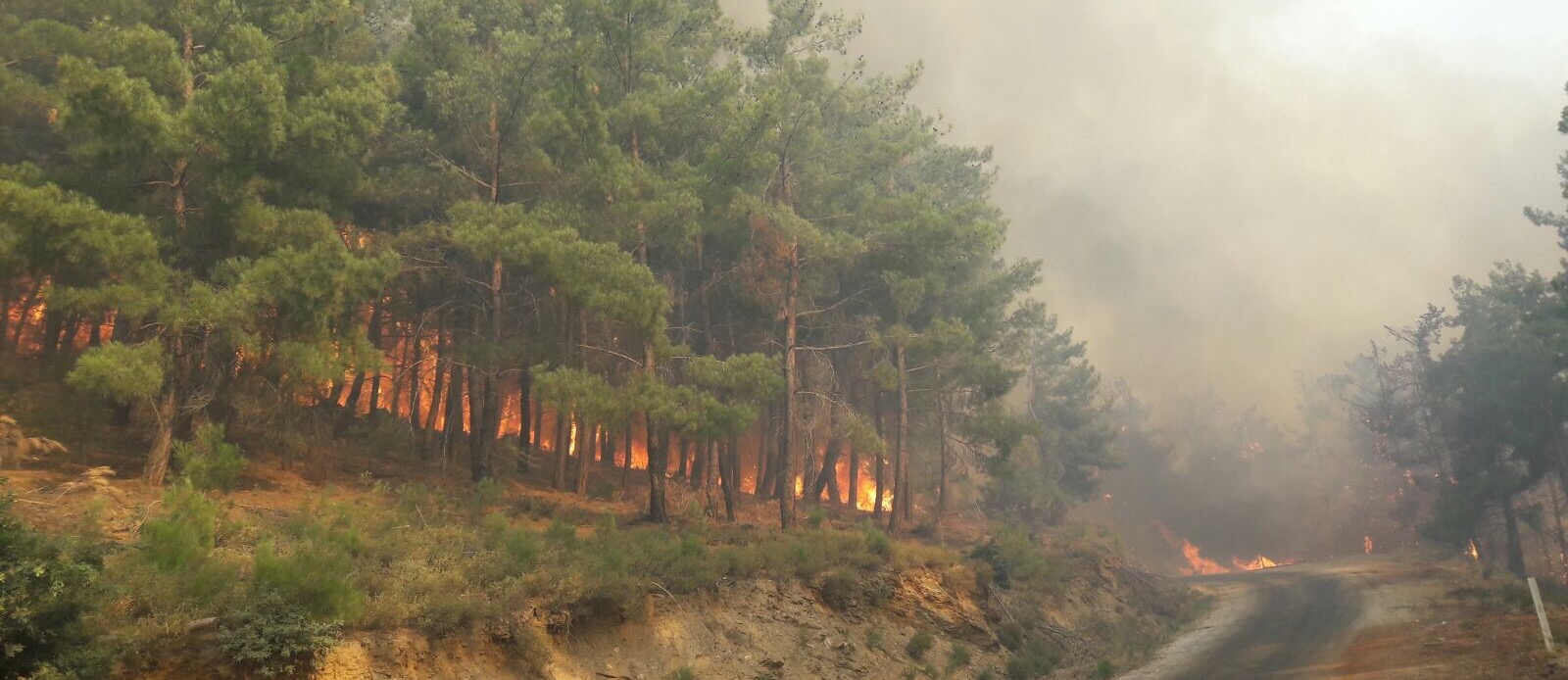 Vatandaşlar Tahliye Ediliyor
