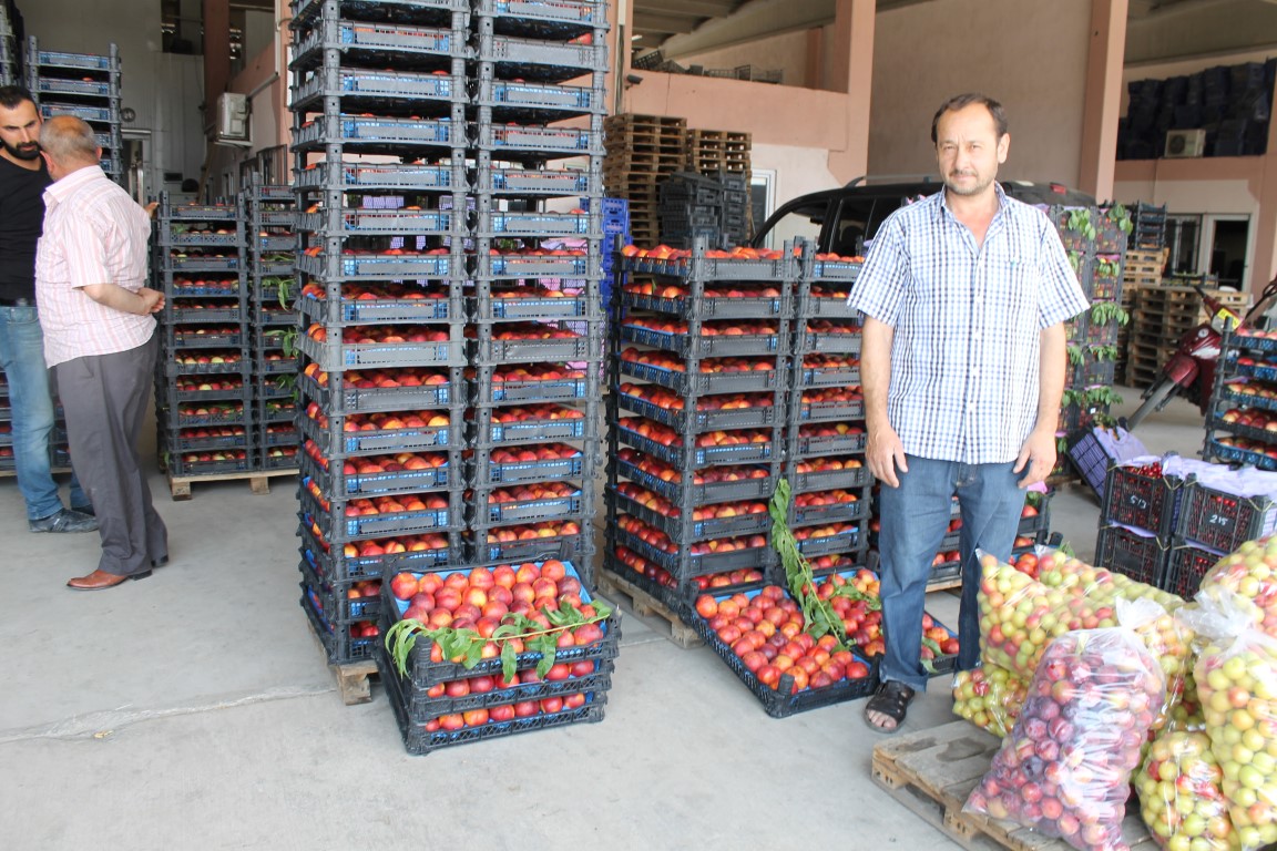 Turgutlu Halinde Yaz Hareketi  Devam Ediyor