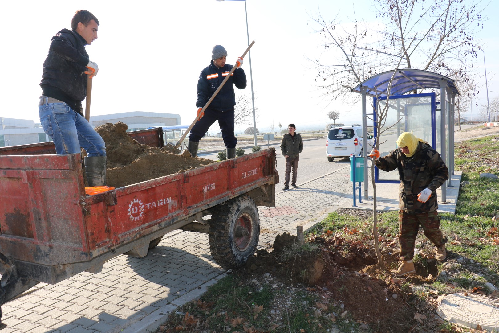 Yunusemre'de 2023 çınar Toprakla Buluştu