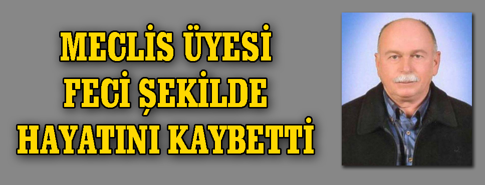 Meclis üyesi Feci şekilde Hayatını Kaybetti