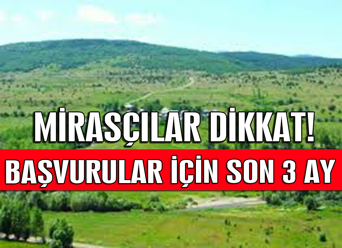 Mirasçılar Bu Habere Dikkat