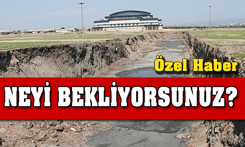 Neyi Bekliyorsunuz?