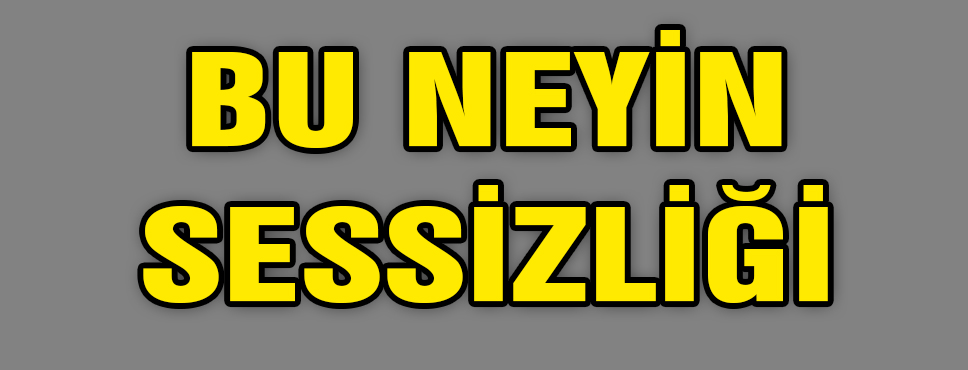 Bu Neyin Sessizliği!