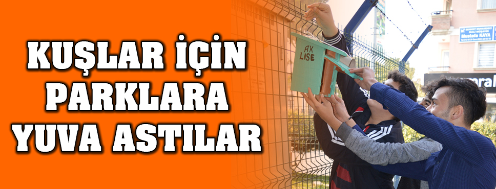 Kuşlar İçin Parklara Yuva Astılar