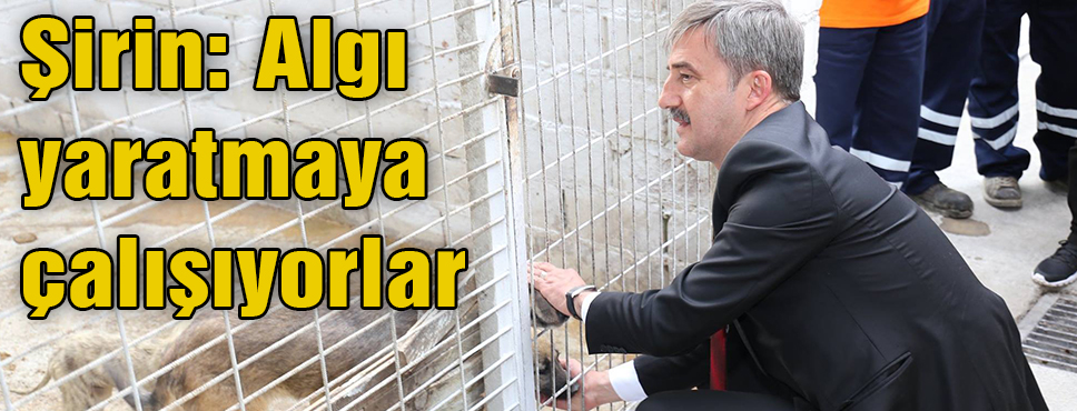 şirin: Algı Yaratmaya çalışıyorlar