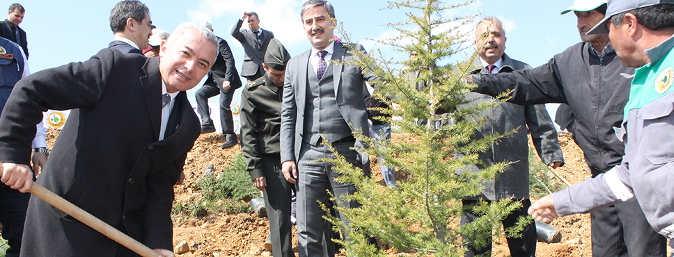 Kaymakam Vali Adına Ağaç Dikti