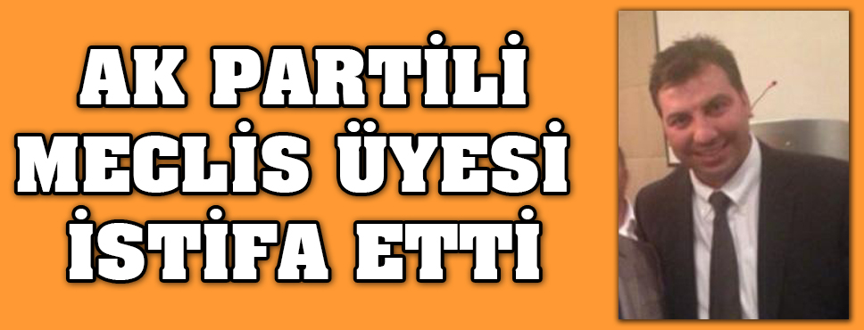 Ak Partili Meclis üyesi İstifa Etti