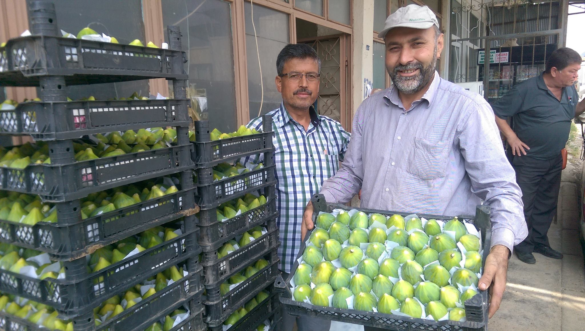 Armut Ve İncirler Osmancık’tan