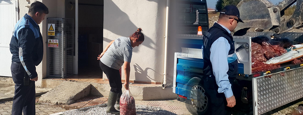 Zabıta’dan Kaçak Et Operasyonu