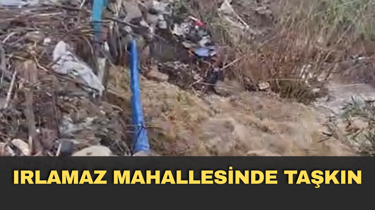 IRLAMAZ MAHALLESİNDE TAŞKIN