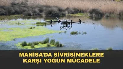 Manisa’da Sivrisineklere Karşı Yoğun Mücadele