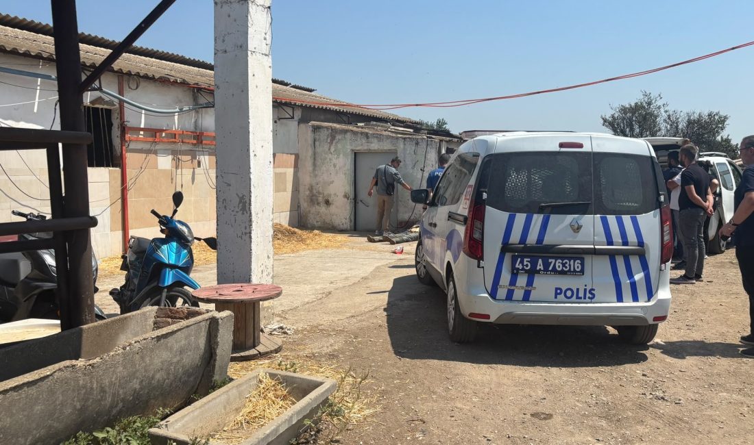 Turgutlu’da hayvan damında yaşayan 64 yaşındaki adam ölü bulundu Manisa’nın Turgutlu ilçesinde hayvan damında bakıcılık yapan 64 yaşındaki bir